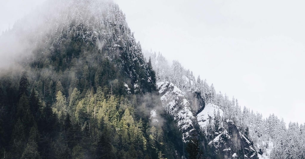 10 Compliance Tips for Companies