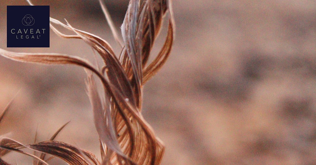 Anti-Competitive Behaviour in Business_ Everything You Need to Know