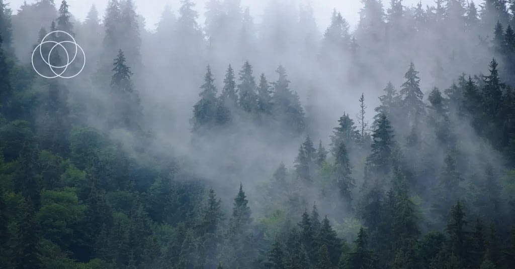 Fractional General Counsel vs. In-House Counsel: Choosing the Right Legal Support