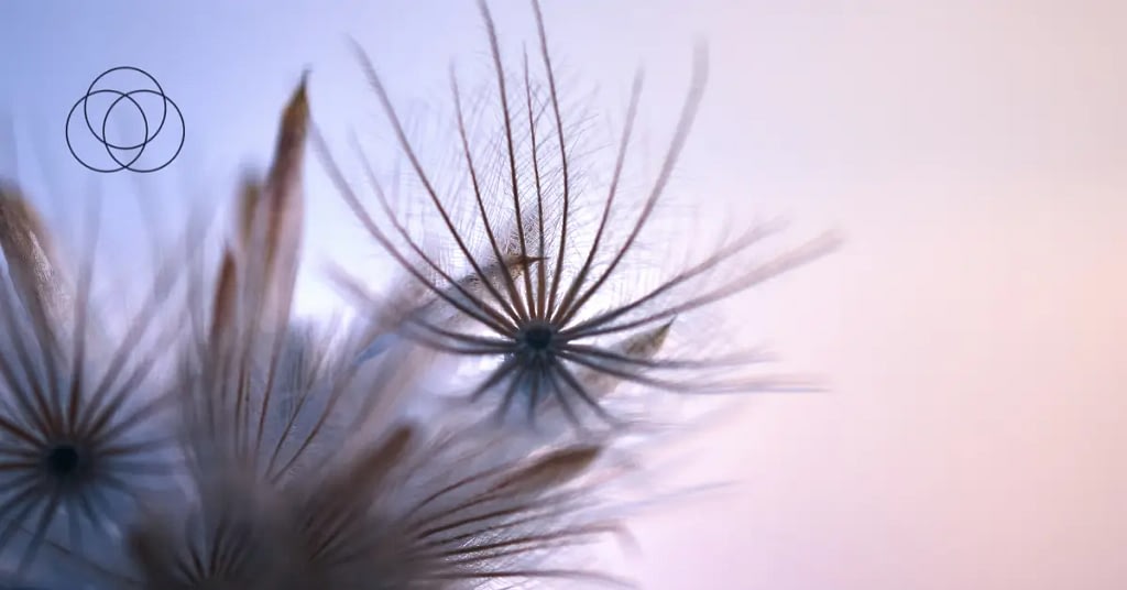 Navigating South Africa’s New Electricity Regulation