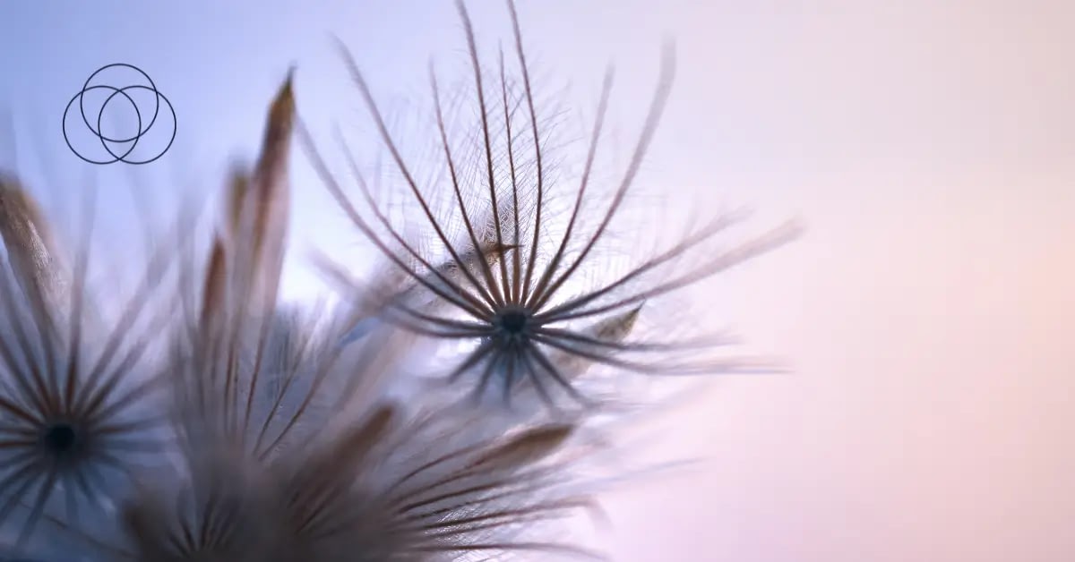 Navigating South Africa’s New Electricity Regulation